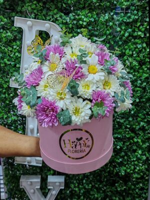 Box de margaritas blancas y rosadas