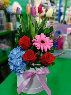 Box de Tulipanes