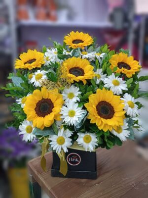 Box de Girasoles