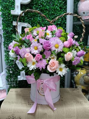 Box Primavera