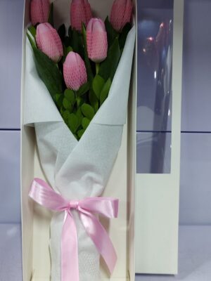 6 Tulipanes en caja 💐