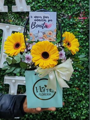 Cartera de Gerberas 💛