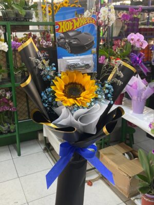 Girasol Hot Wheels 🏁🏎️