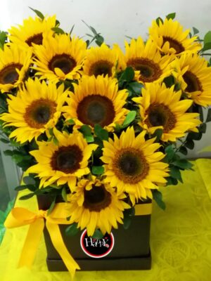 Box  corazón de Girasoles 💛