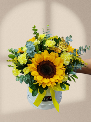 Box de Girasoles 💛