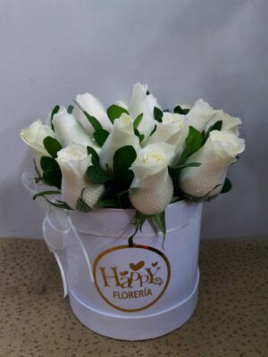 Box 12 rosas blancas