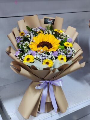 Girasol Primaveral