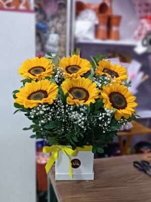 Box de Girasoles
