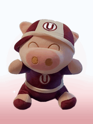 Peluche Cerdito Universitario