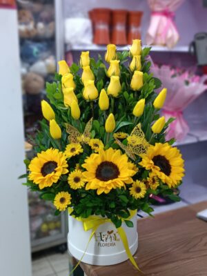 Box de Tulipanes y rosas