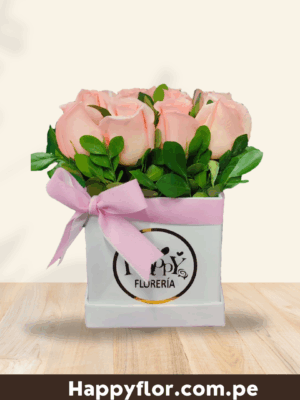 Box de 12 rosas
