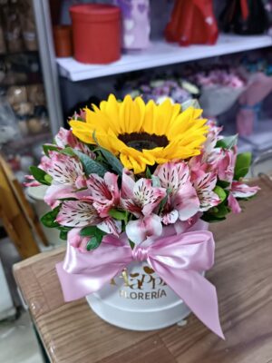 minubox Girasol 🌻