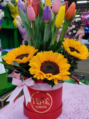 Box con 10 Tulipanes