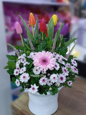 Arreglo de 5 tulipanes