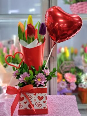 Box de 4 tulipanes