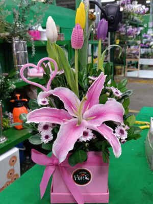 Box de 4 tulipanes