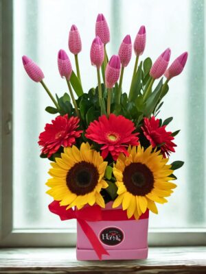 Box de Tulipanes y Girasoles