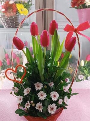 Canasta con 5 tulipanes rojos