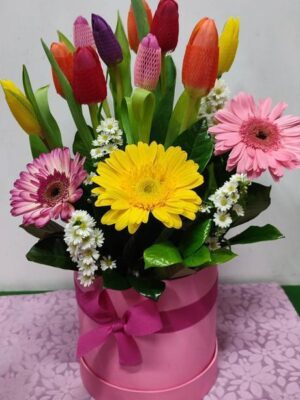 Box de 10 tulipanes