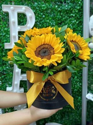 Box de Girasoles 🌻
